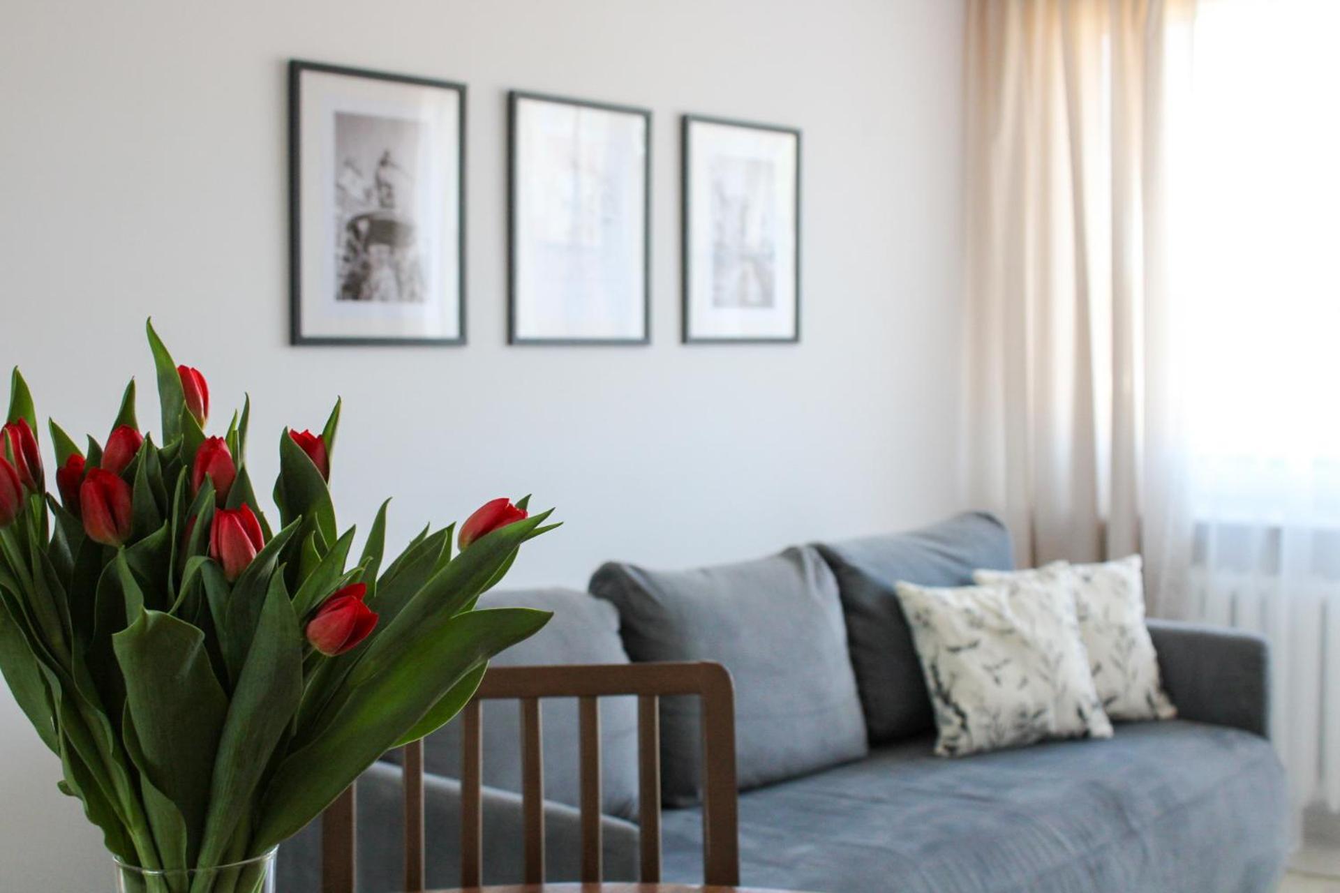 Apartment Balticity *